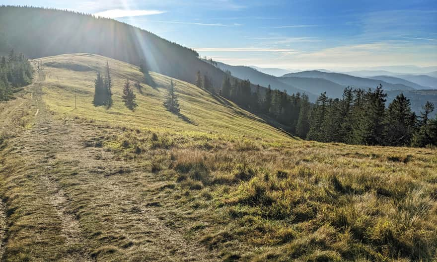 Pawlusia Meadow on the yellow trail Rysianka - Romanka