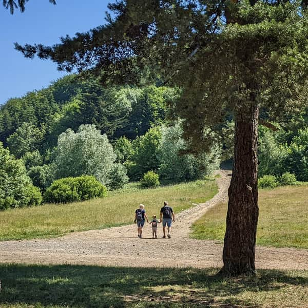 Sucha Polana - szlaki z Poręby i Kudłaczy