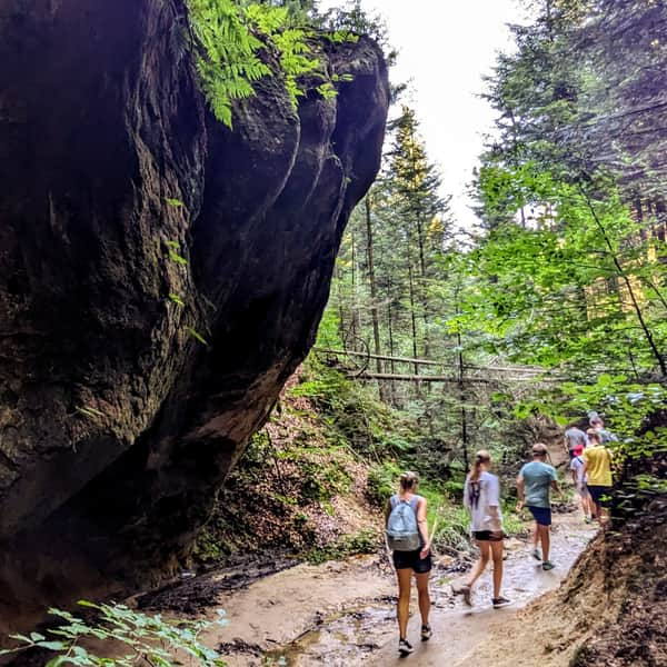 Ciężkowice Waterfall and Witch's Gorge 