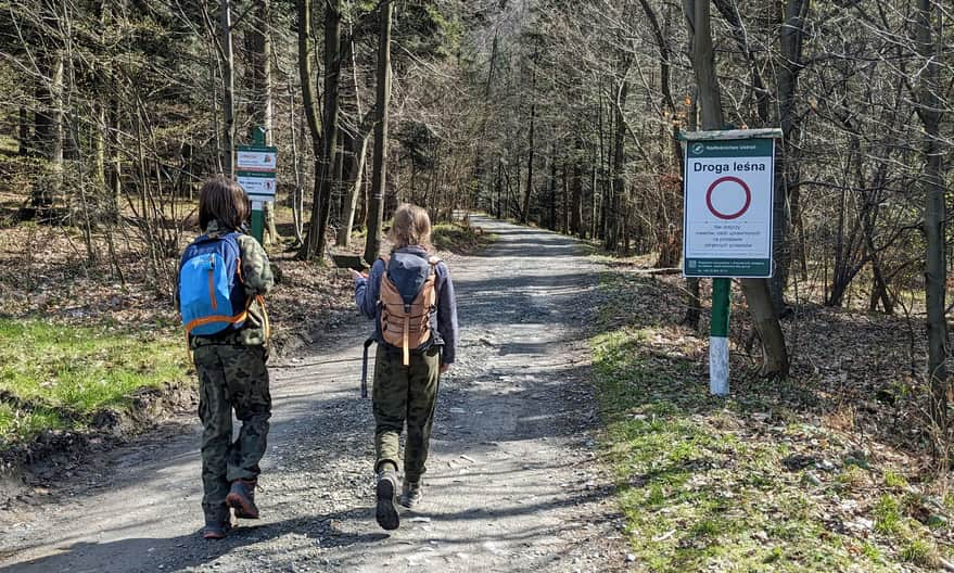 Red trail Ustroń Zdrój - Równica. Entrance to the forest