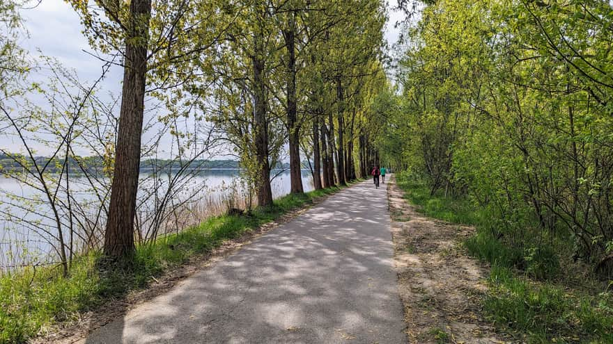 Asfaltowa ścieżka pieszo-rowerowa wokół zbiornika Pogoria III w Dąbrowie Górniczej