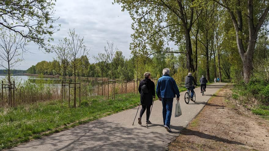 Asfaltowa ścieżka pieszo-rowerowa wokół zbiornika Pogoria III w Dąbrowie Górniczej