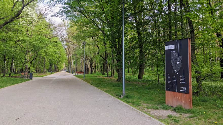 Park Zielona w Dąbrowie Górniczej