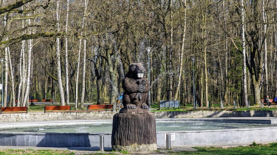 Park Zielona w Dąbrowie Górniczej