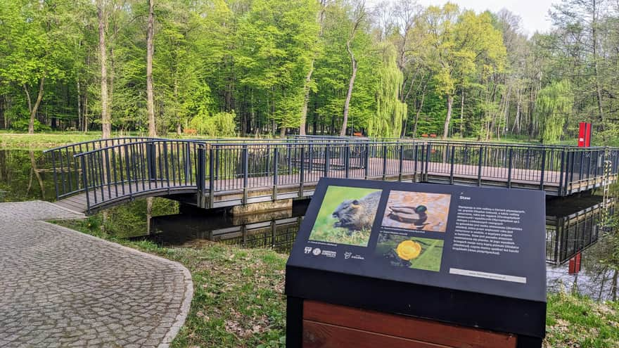 Zielona Park in Dąbrowa Górnicza