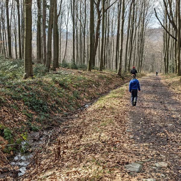 Red Trail from Rymanów to Iwonicz