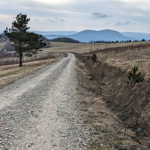 Green trail through Przymiarki from Iwonicz to Rymanów