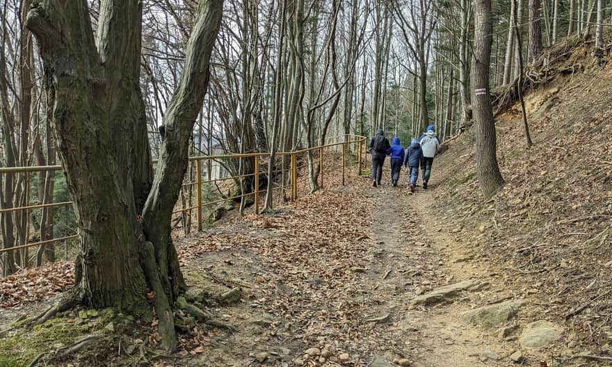 Red Trail Rymanów - Iwonicz. Start of the trail in Rymanów.