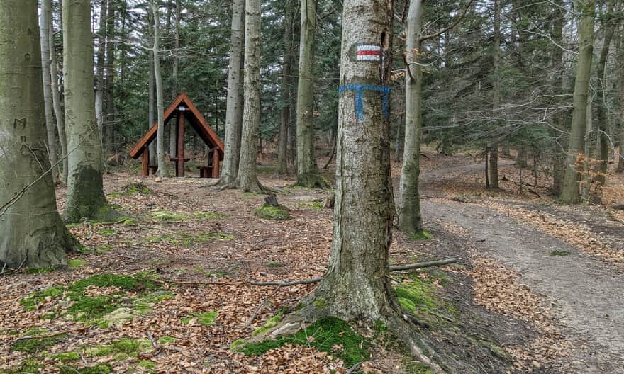 Red Trail Rymanów - Iwonicz. Shelter shortly after leaving Rymanów Zdrój.