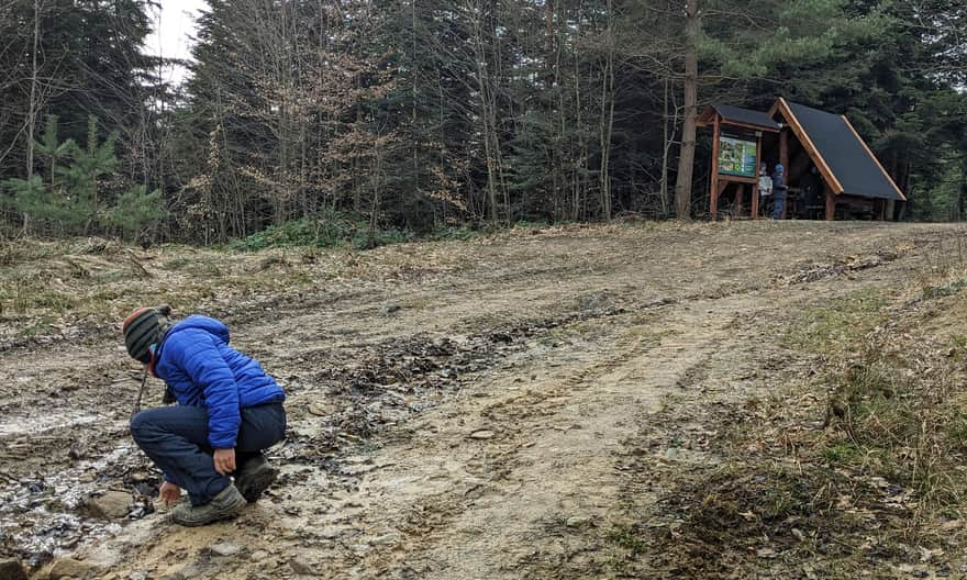 Czerwony szlak Rymanów - Iwonicz. Wiata nad wąwozem Świętokrzyskiego Potoku