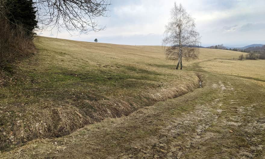 Green trail Iwonicz - Rymanów Zdrój. Area of the former village of Wólka
