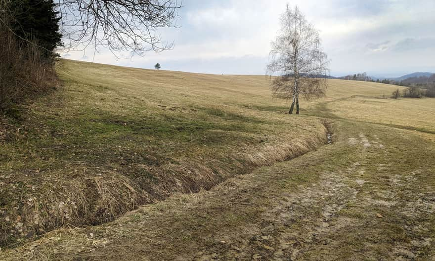 Zielony szlak Iwonicz-Zdrój - Rymanów-Zdrój. Teren byłej wsi Wólka