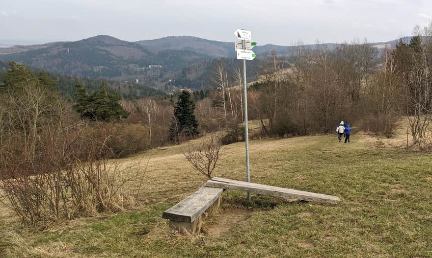 Green trail - descent to Rymanów Zdrój
