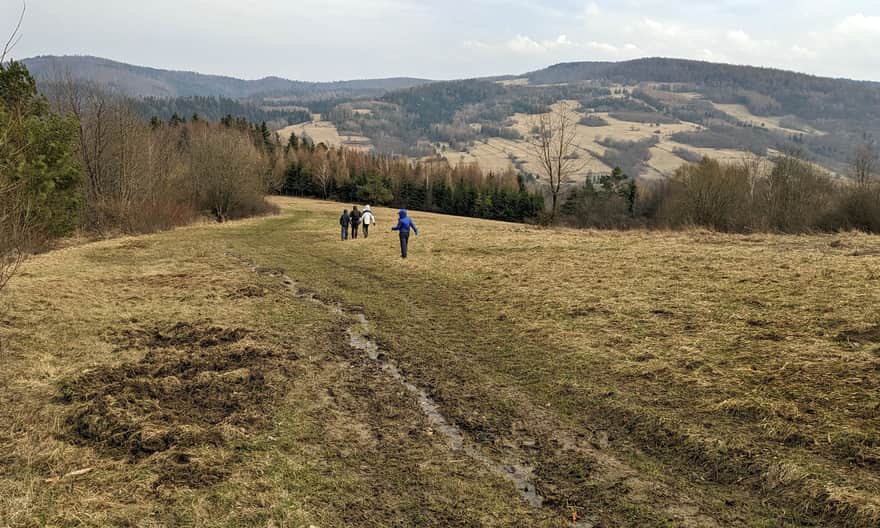 Green trail - descent to Rymanów Zdrój