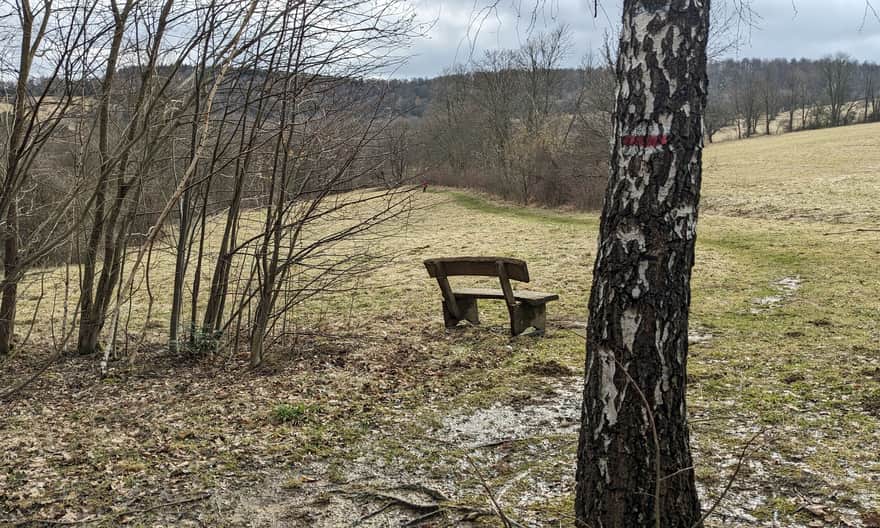 Viewpoint above Wołtuszowa