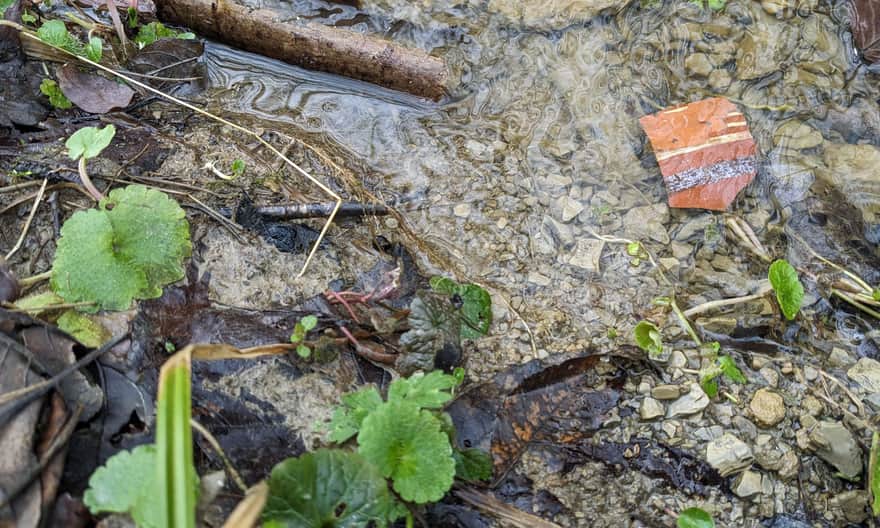 Stream in Wołtuszowa