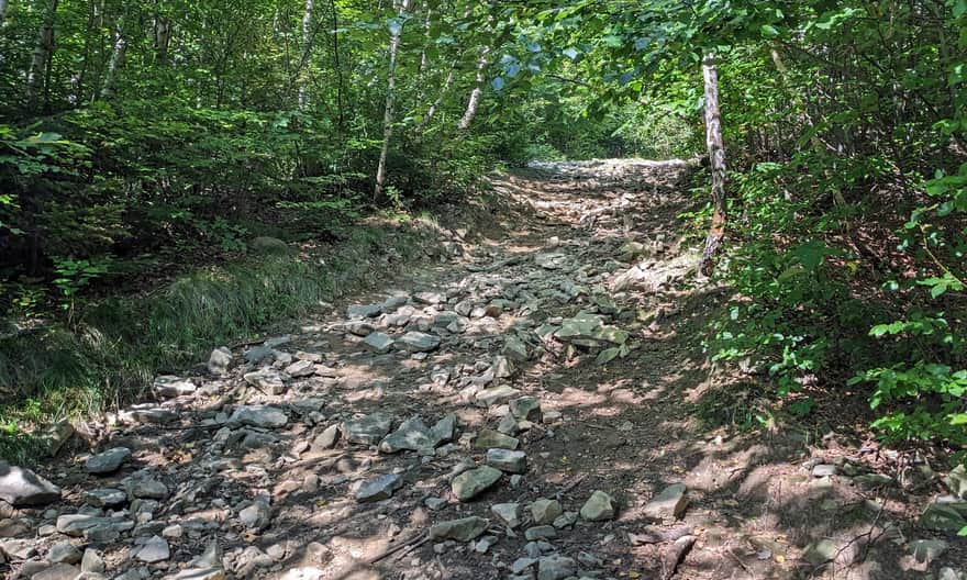 Descent from the peak of Wielka Czantoria by the red trail towards Przełęcz Beskidek 