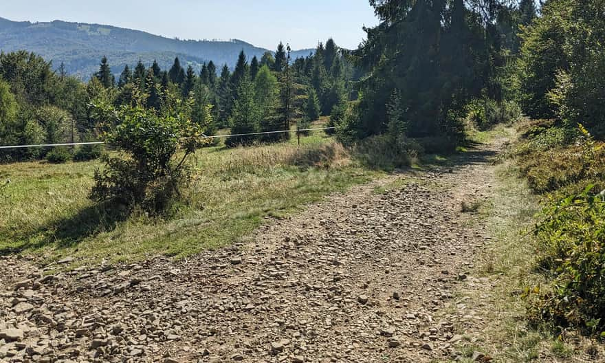 First scenic meadow before climbing the peak of Wielka Czantoria