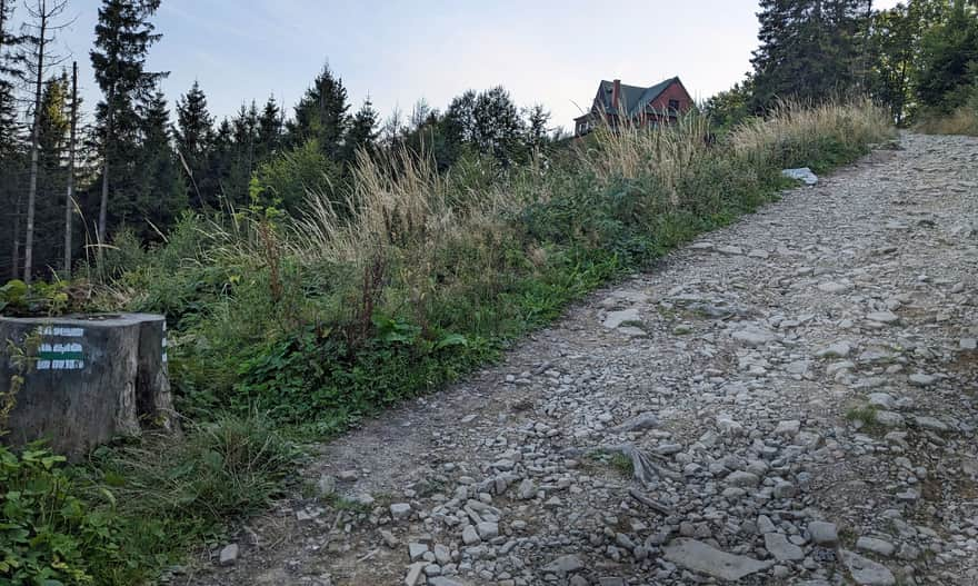 Road to PTTK Stożek Wielki Shelter - red and green trail