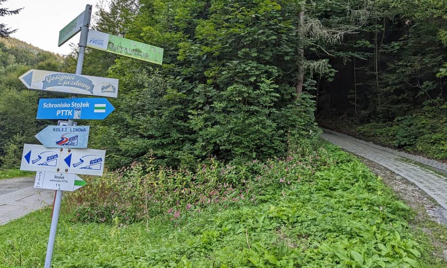 Zielony szlak Wisła Łabajów - Stożek Wielki. W tym miejscu znajduje się parking, a szlak skręca z drogi asfaltowej w las.