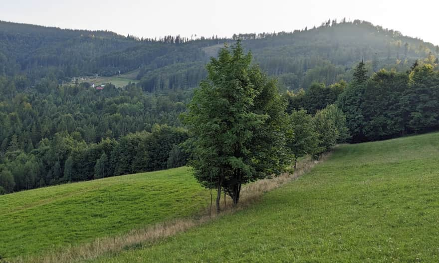 Stożek Wielki - widok z zielonego szlaku.