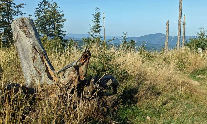 Okienko z widokiem na Wielką Czantorię na czerwonym szlaku Salmopol - Kotarz - Hala Jaworowa