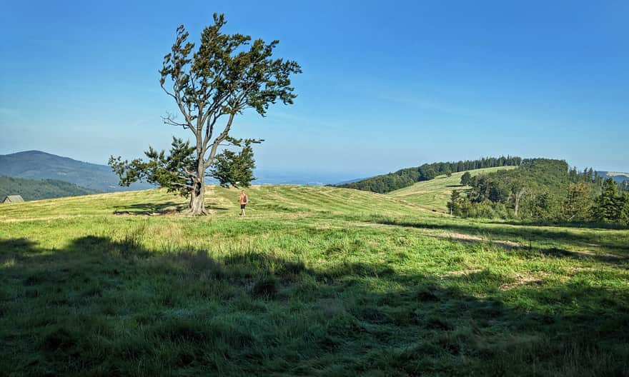 Scenic Jaworowa Hall