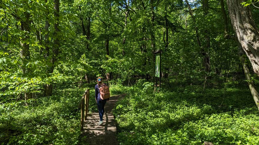 Debrza Reserve
