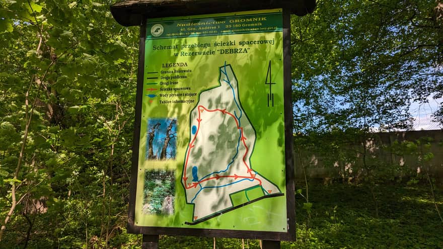 Debrza Reserve