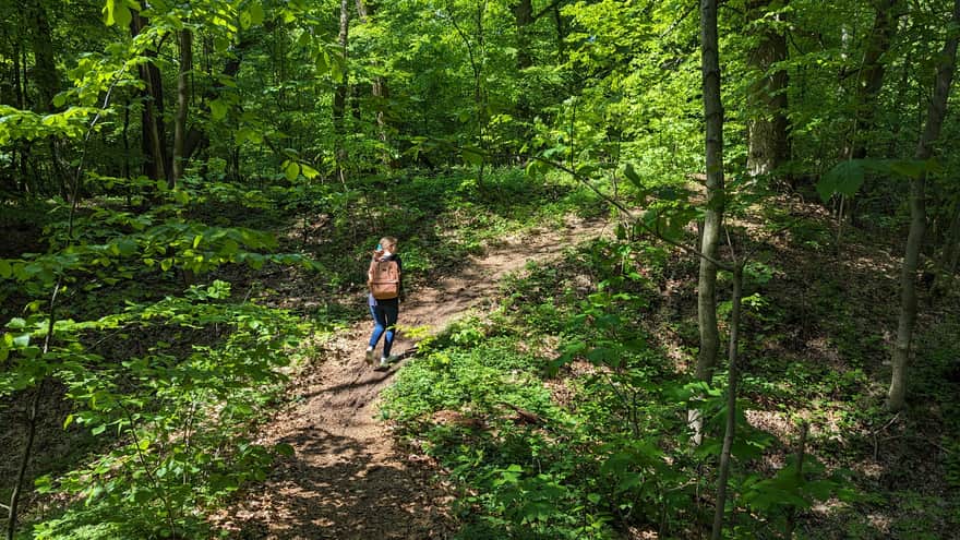 Debrza Reserve