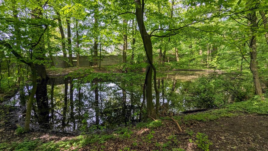 Debrza Reserve