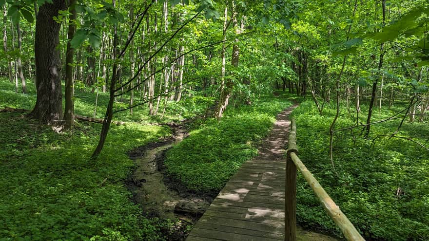 Debrza Reserve