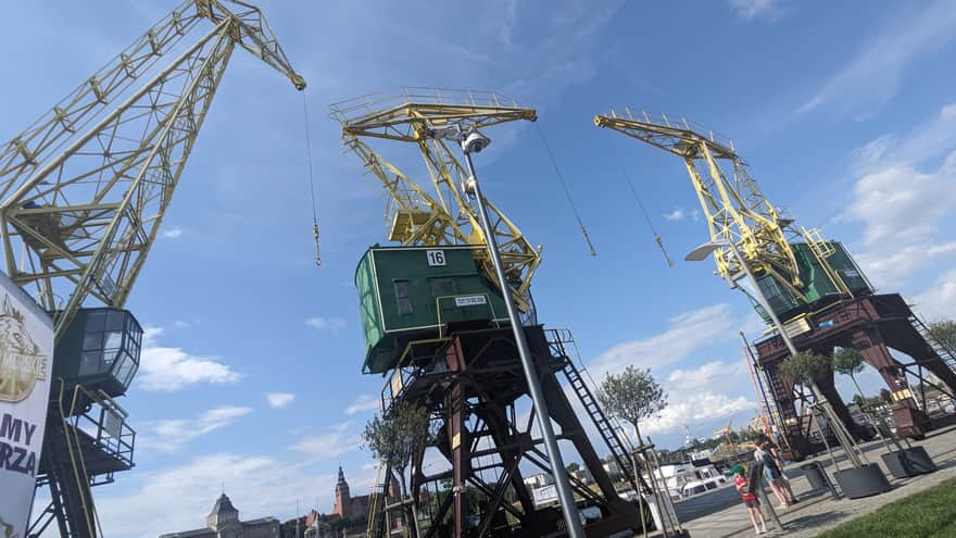 Cranesauruses