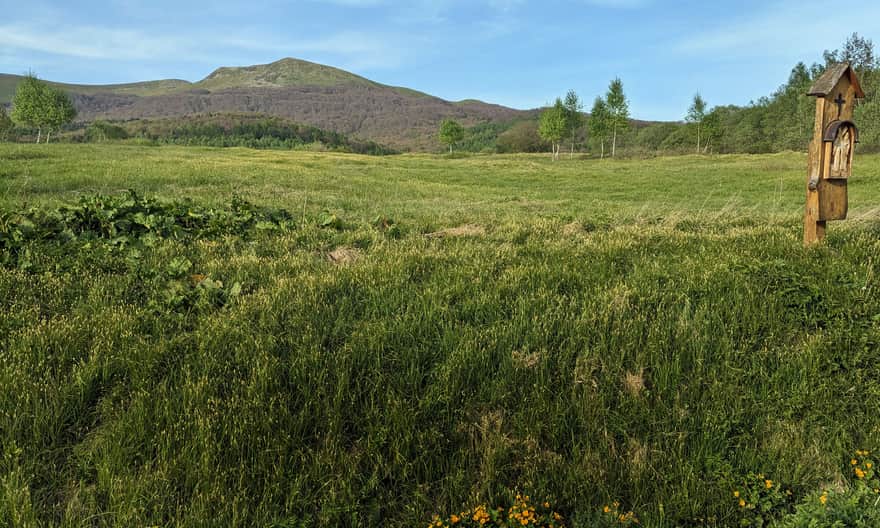 Tarnica spod Przełęczy Beskid