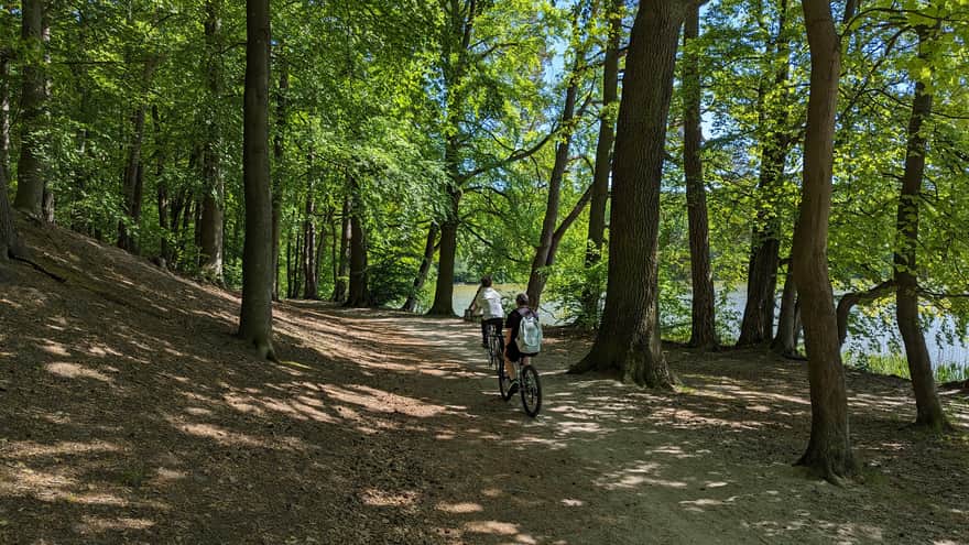 Walking and biking trail around Lake Głębokie