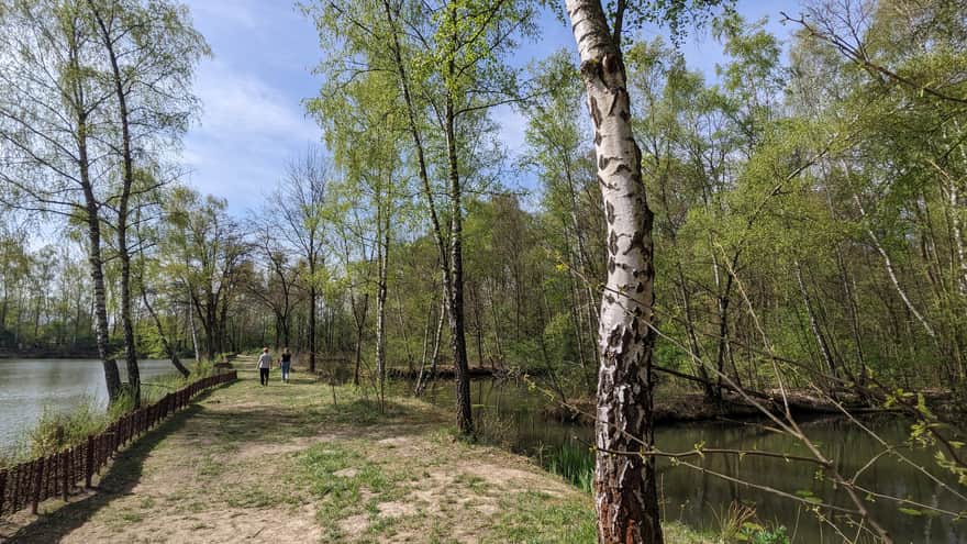 Tetmajer Forest Park