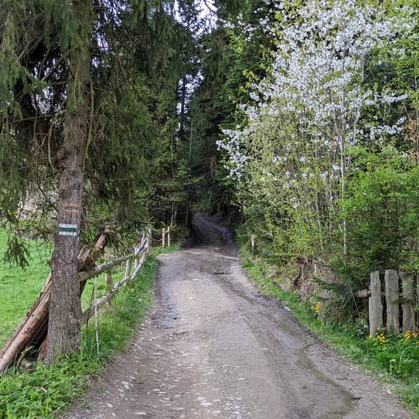 Easiest Trail to Maciejowa