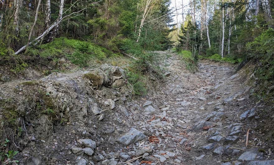 Jedyne trudniejsze, strome i kamieniste podejście na zielonym szlaku z Jasionowa na Maciejową