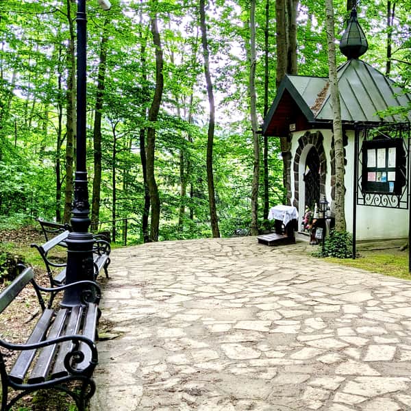 The Easiest Route to Muszyna Castle