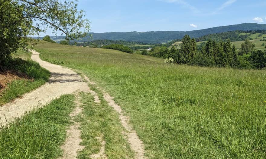 Red Trail from Rabka-Zdrój to Maciejowa - view of Luboń Wielki