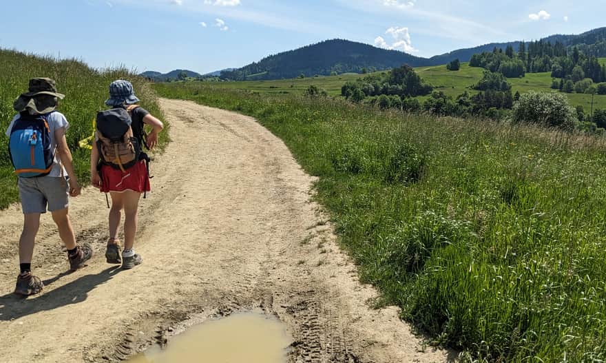 Red Trail from Rabka-Zdrój to Maciejowa