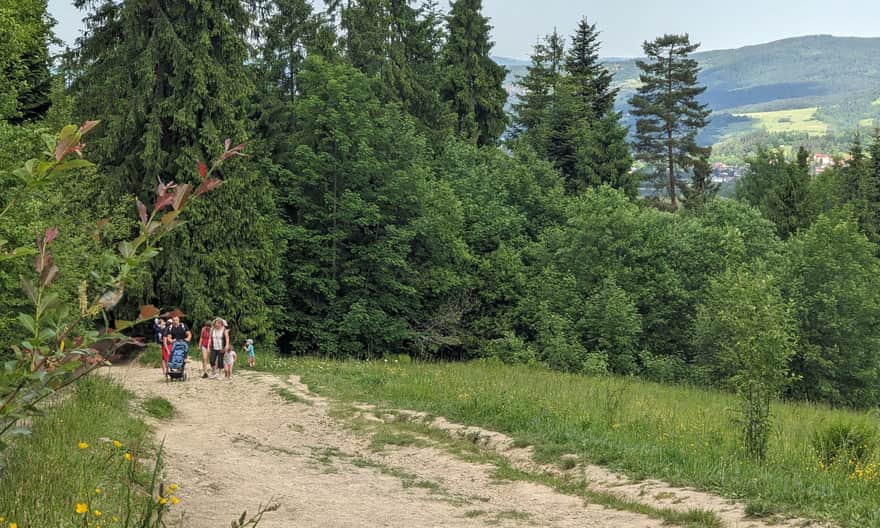 Red Trail from Rabka-Zdrój to Maciejowa