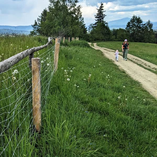 Red Trail from Rabka to Maciejowa