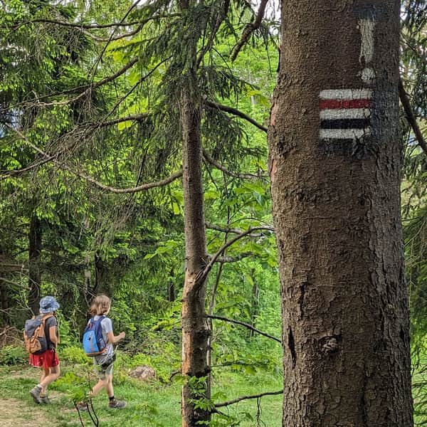 Black Trail to Maciejowa from Rabka Słone