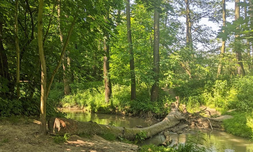 Ecological area "Dolina Prądnika"