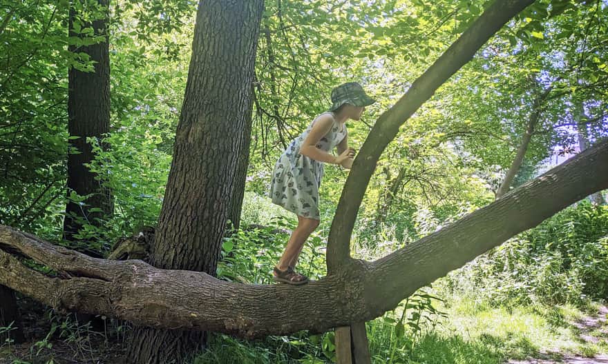Ecological area "Dolina Prądnika"