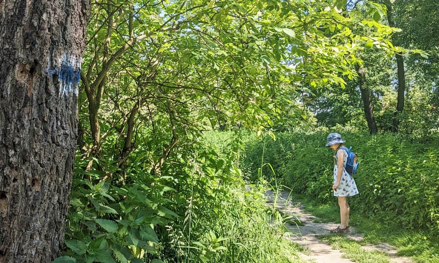Ecological area "Dolina Prądnika" - trail marking