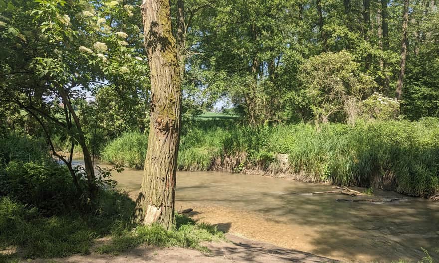 Ecological area "Dolina Prądnika" - stony "beach"
