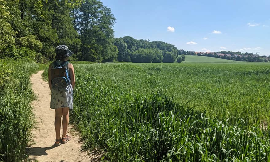 Ecological area "Dolina Prądnika" - fields near Witkowice