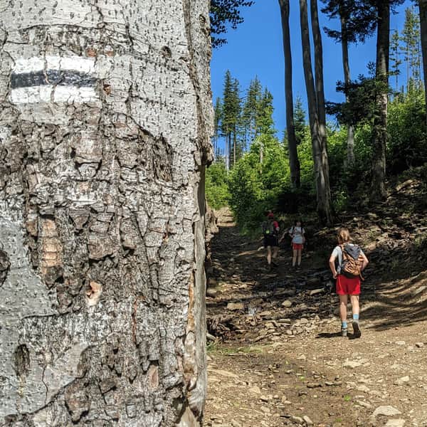 The easiest trail to the shelter on Hala Krupowa - black from Sidzina